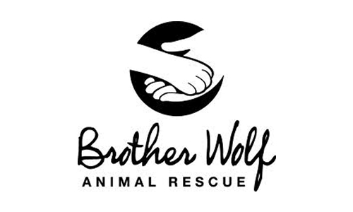 Brother Wolf Animal Rescue