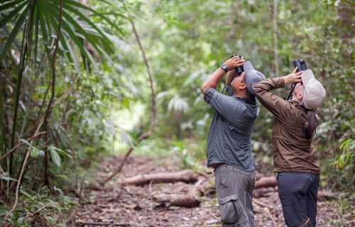 Belize Audubon Society