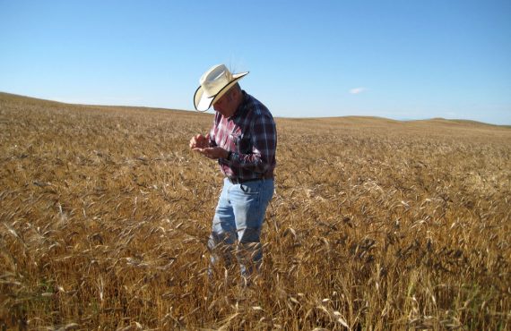 Organic Farmer Bob Quinn