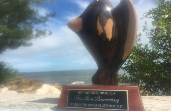 "The Wood Thrush Connection" Belize International Film Festival Best Short Documentary